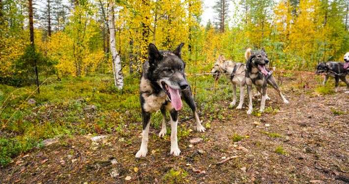 5-Day Autumn Holiday Package