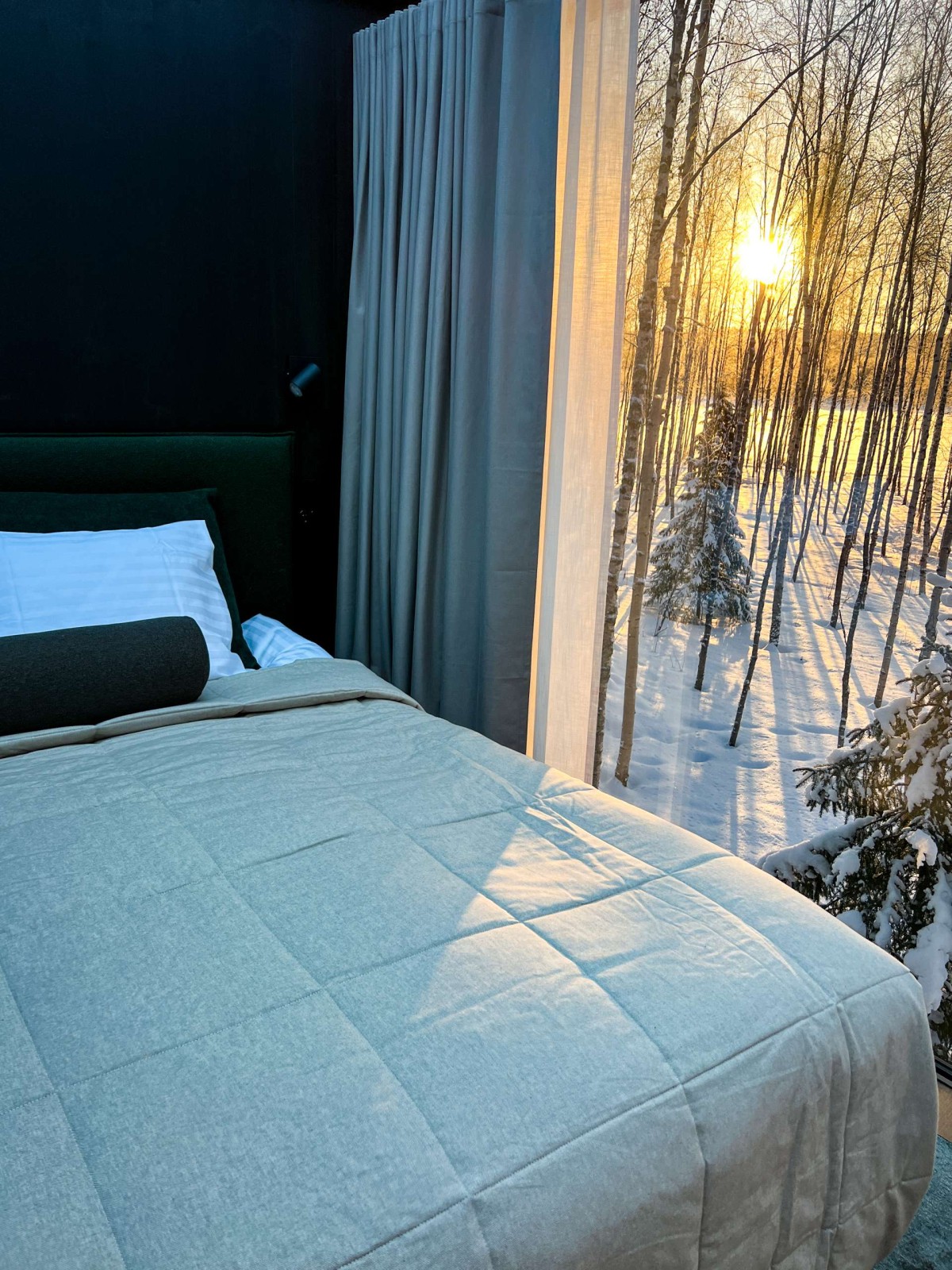 Bedroom & Living Area